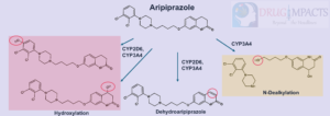 Abilify metabolism